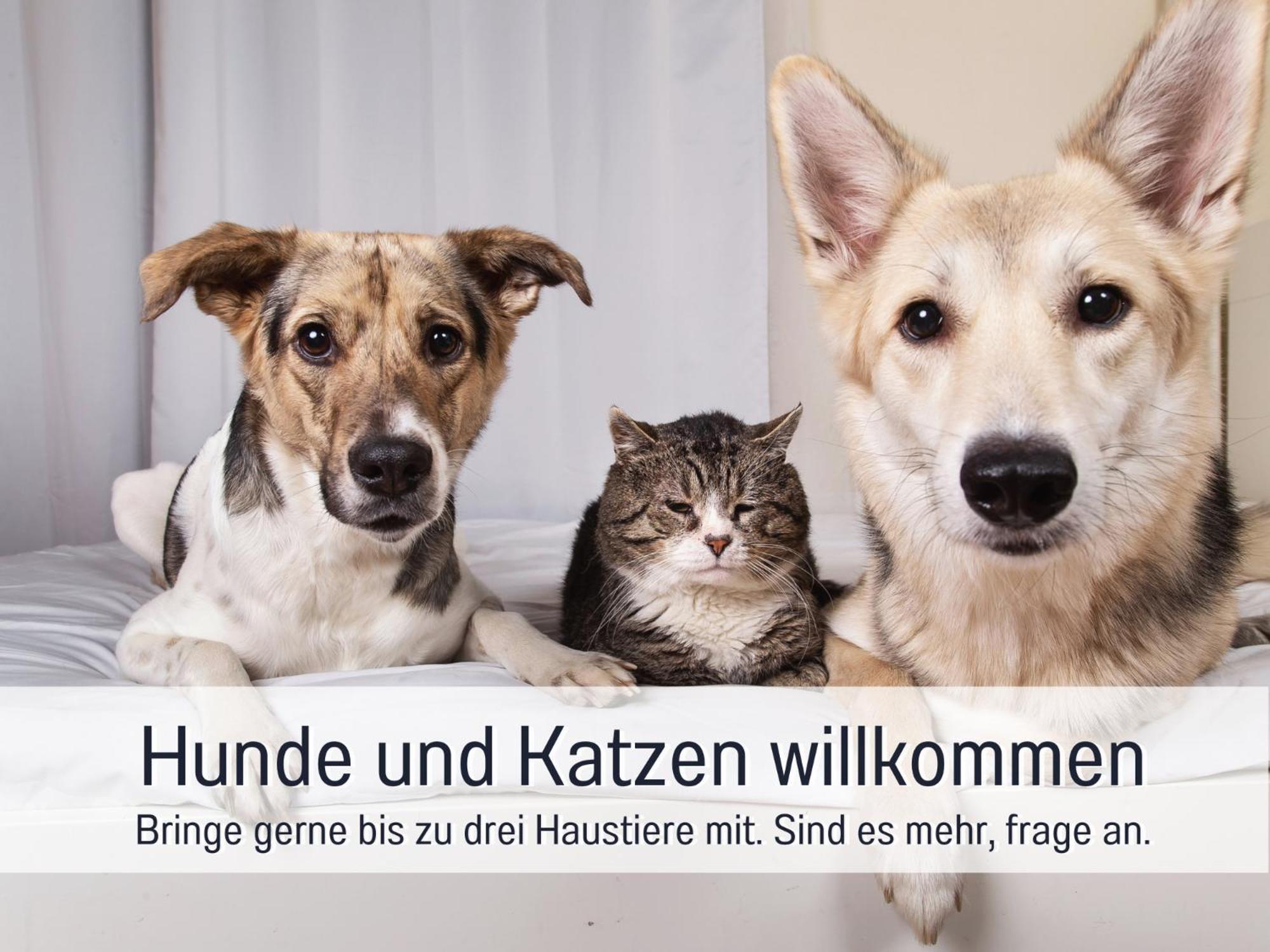 Ferienloft Sternenblick - Strandnah, Haustierfreundlich, Tolle Kueche, Optimal Fuer Workation, 4 Personen Steinberg  Exterior foto